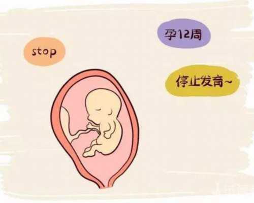 上海有代怀公司吗,上海有没有做试管婴